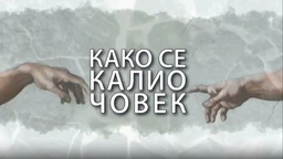 Како се калио човек: Милица Мандић (R)