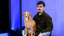 Велика илузија: Нове, старе приче