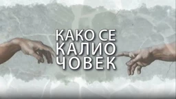 Како се калио човек: Александар Лазић (R)