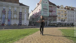 Култура Срба у Европи: Темишвар, Доситеј и наследници (R)