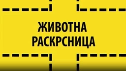 Животна раскрсница: Анорексија и булимија