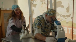 Ветеринарска мисија