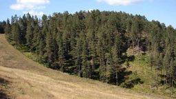 Еду глобал, 284. еп. (R)