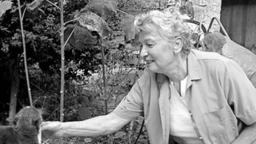 Имагинарни пејзажи – In memoriam: Елиан Радиг