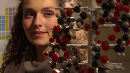 Тајне људског тела: Респираторни систем (R)