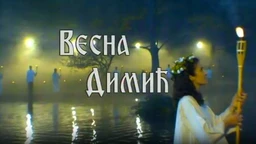 ТВ постер Весне Димић