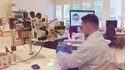 Наука 2024: Нова ласерска технологија у офтамологији (R)