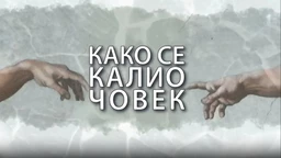 Како се калио човек: Андреа Арсовић (R)