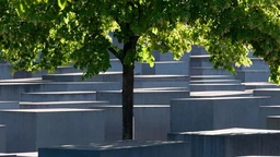 Холакауст: наслеђе фашизма – говори Олга Манојловић Пинтар (2. део)