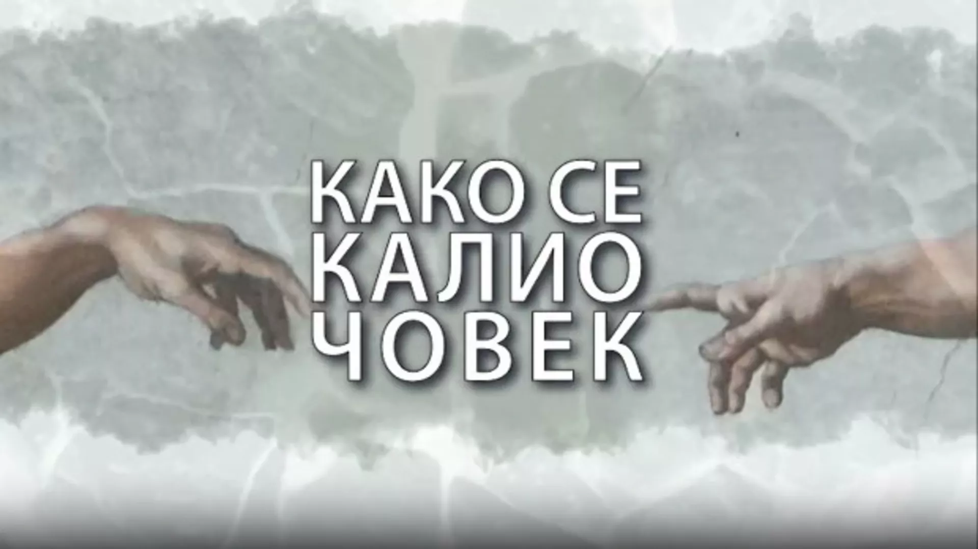 Како се калио човек: Андреа Арсовић