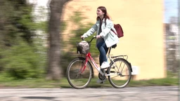 Tajne ljudskog tela: Endokrini sistem (R)