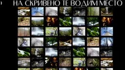 На скривено те водим место: Тања Петровић (R)