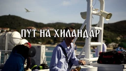 Приче с петог континента