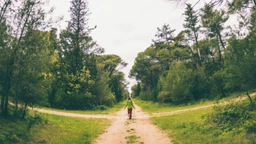 Чекајући ветар: Еколошки магазин