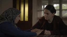 Branilac: Zatvorska sloboda, 4-10, 3S  (R)