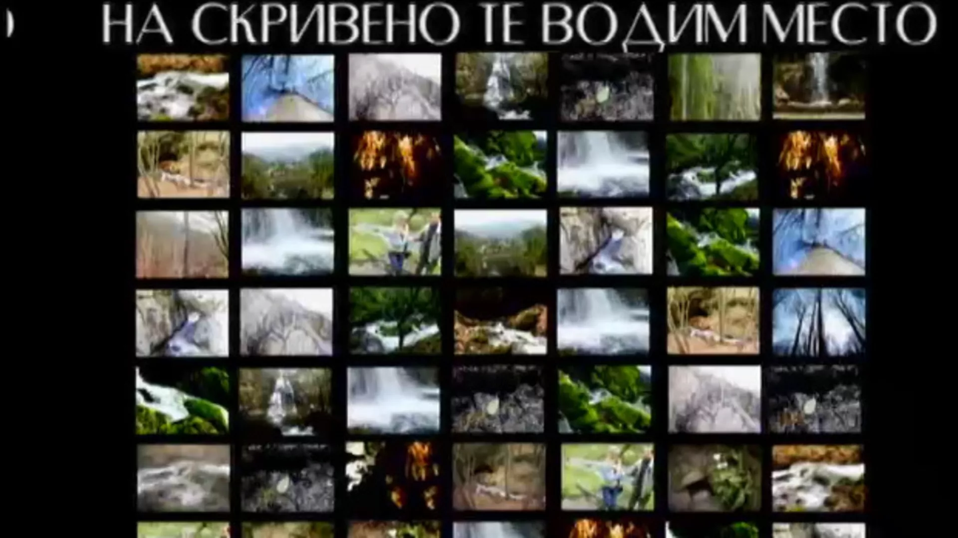 На скривено те водим место: Тања Петровић (R)