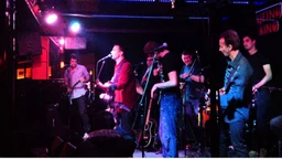 Влада Дивљан и Љетно кино