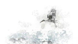 Поезија: Миленко Пајовић 2