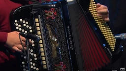 Свирај свирче – Хармоника дугметара