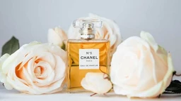 Izabel Fimejer: Koko Šanel – tajanstveni parfem (14)