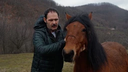 Veterinarska misija: Stolovima u pohode