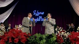 Цуне и пријатељи