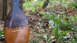 Тамбурица златна жица