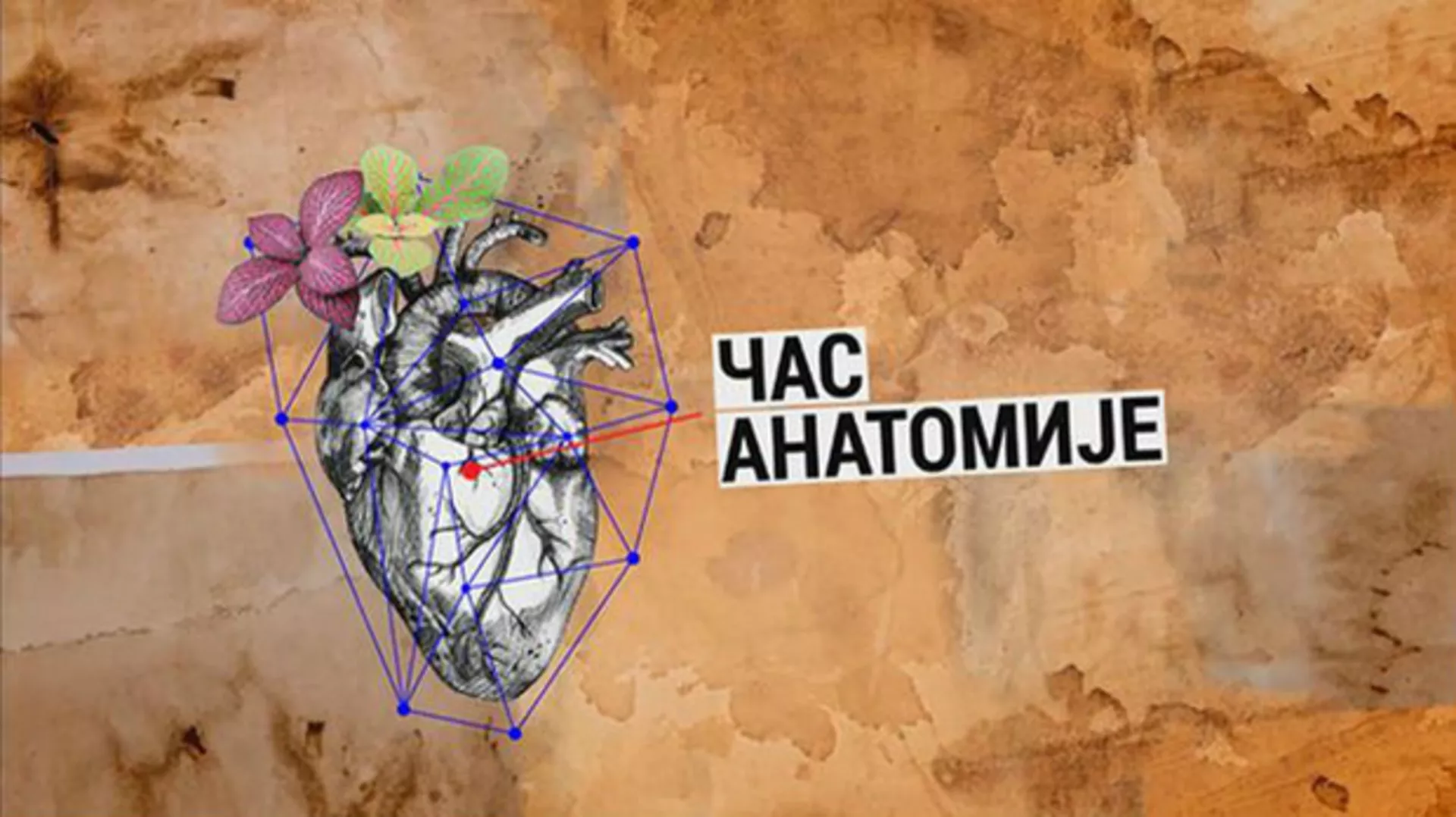 Час анатомије: Иво Андрић – Педесет година после (R)