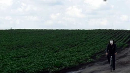 Put u budućnost: U potrazi za razlogom slike: 8-13