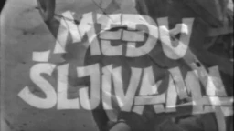 Међу шљивама