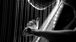 Антикотека : Ансамбл The Harp Consort