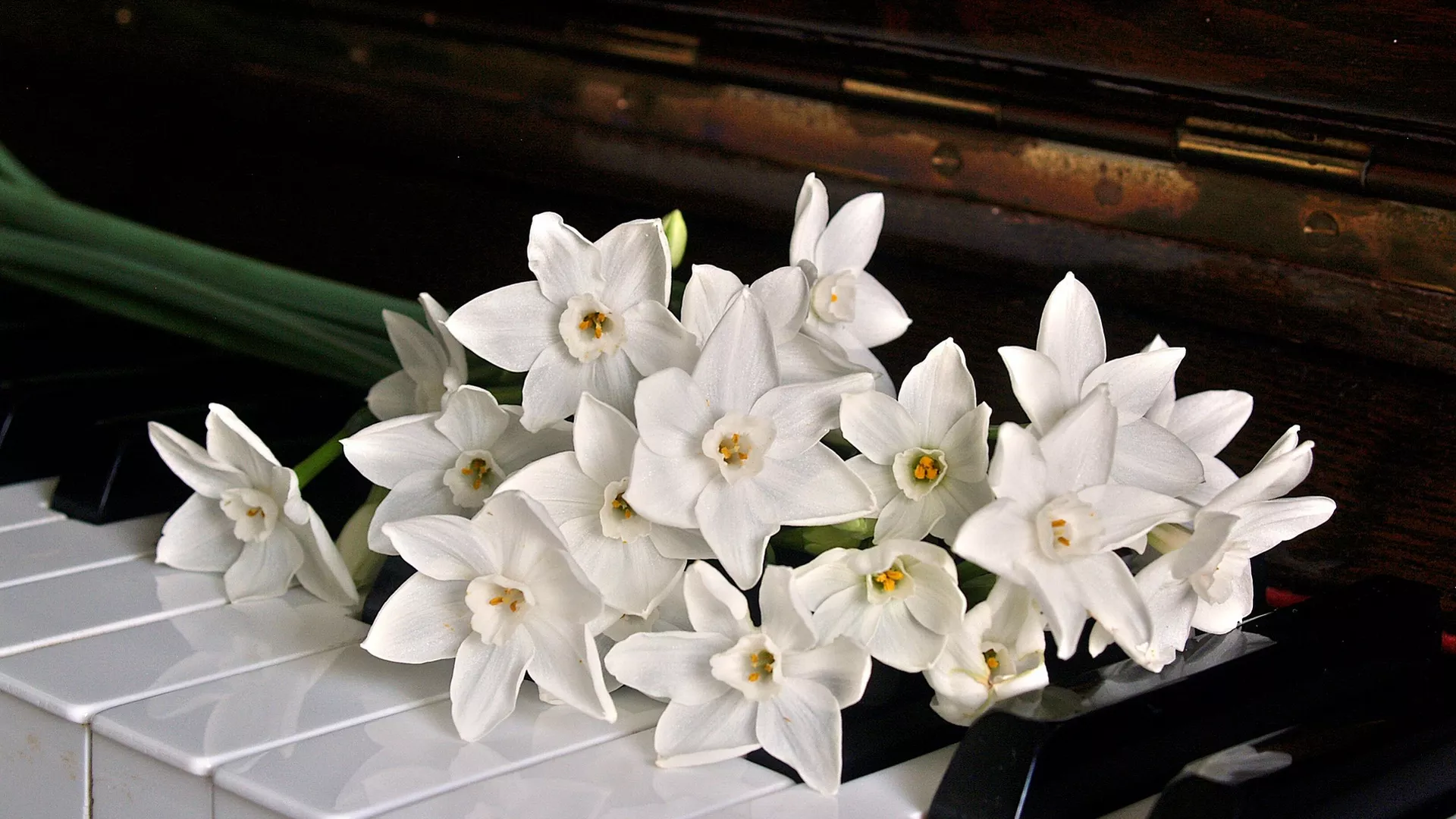 Vreme muzike – Festival Piano City