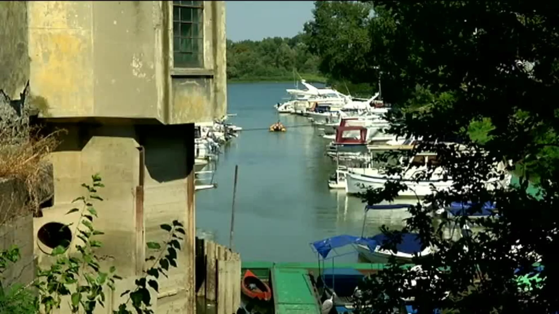 Marina Dorćol