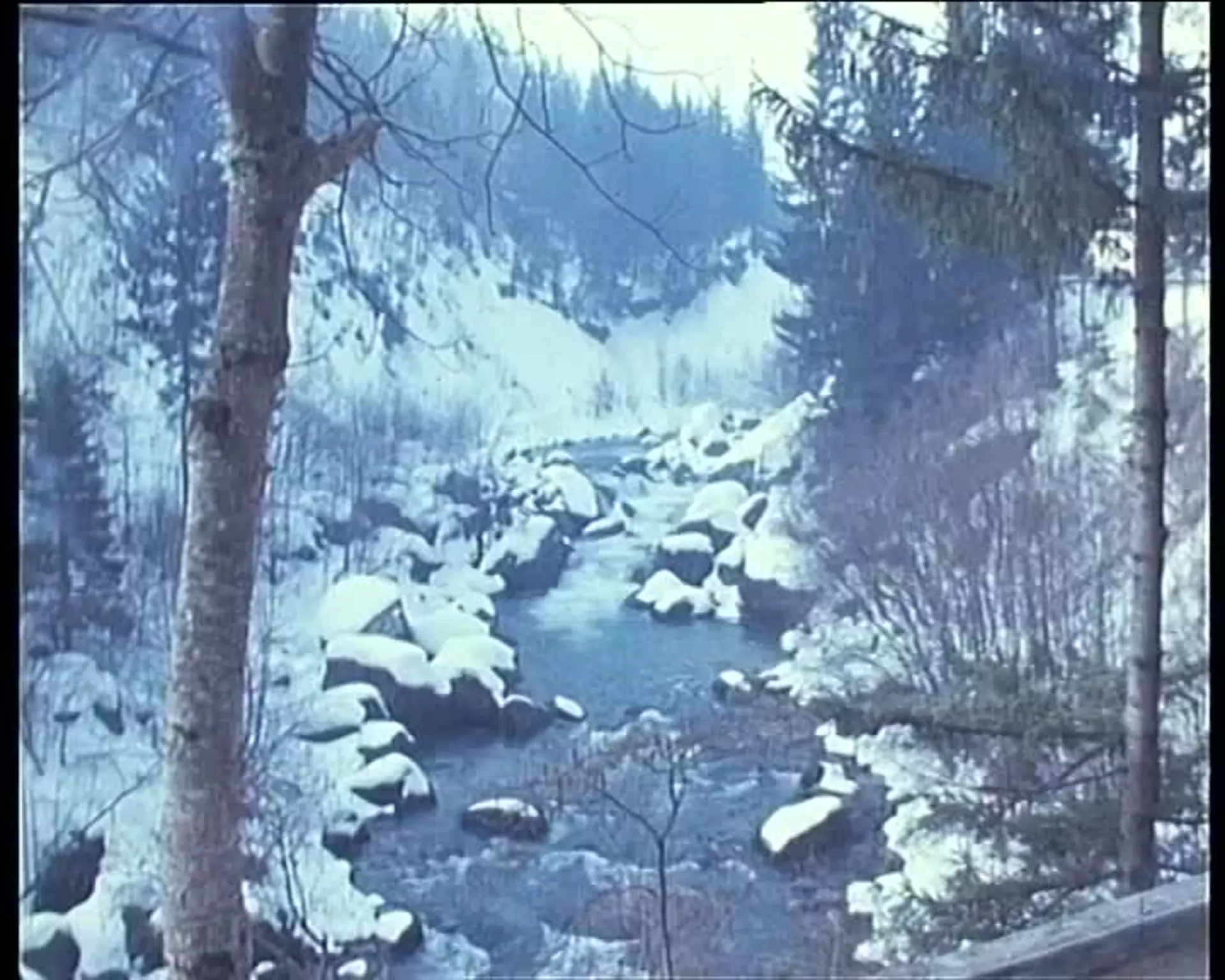 Karavan – Logarska dolina