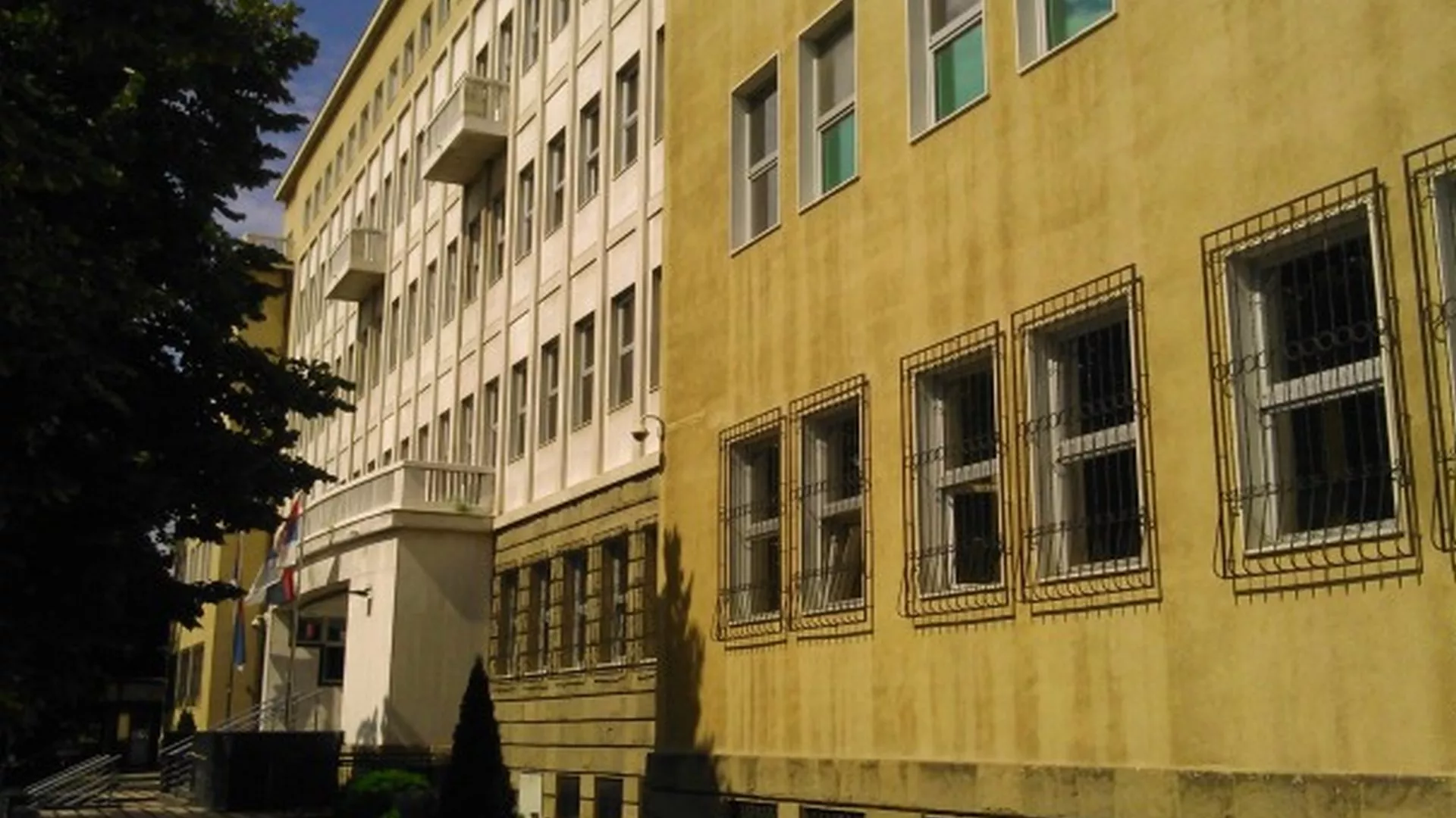 Srpski na srpskom – kriv/nevin