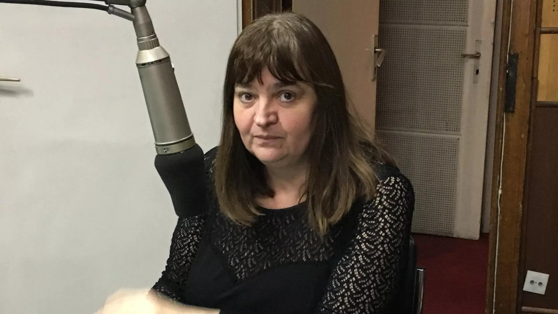 Moja knjiga - Kornelija Ičin
