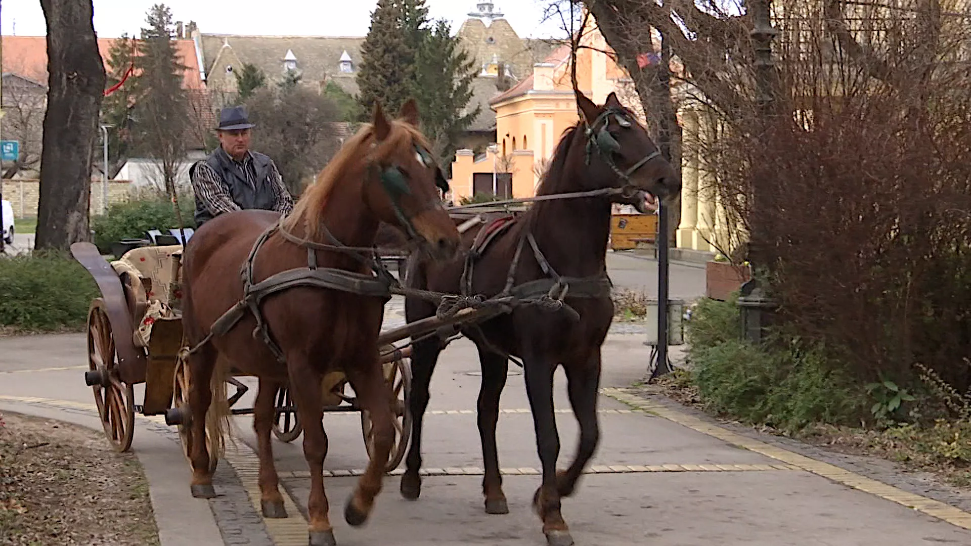 Trag: Sombor gospodska varoš