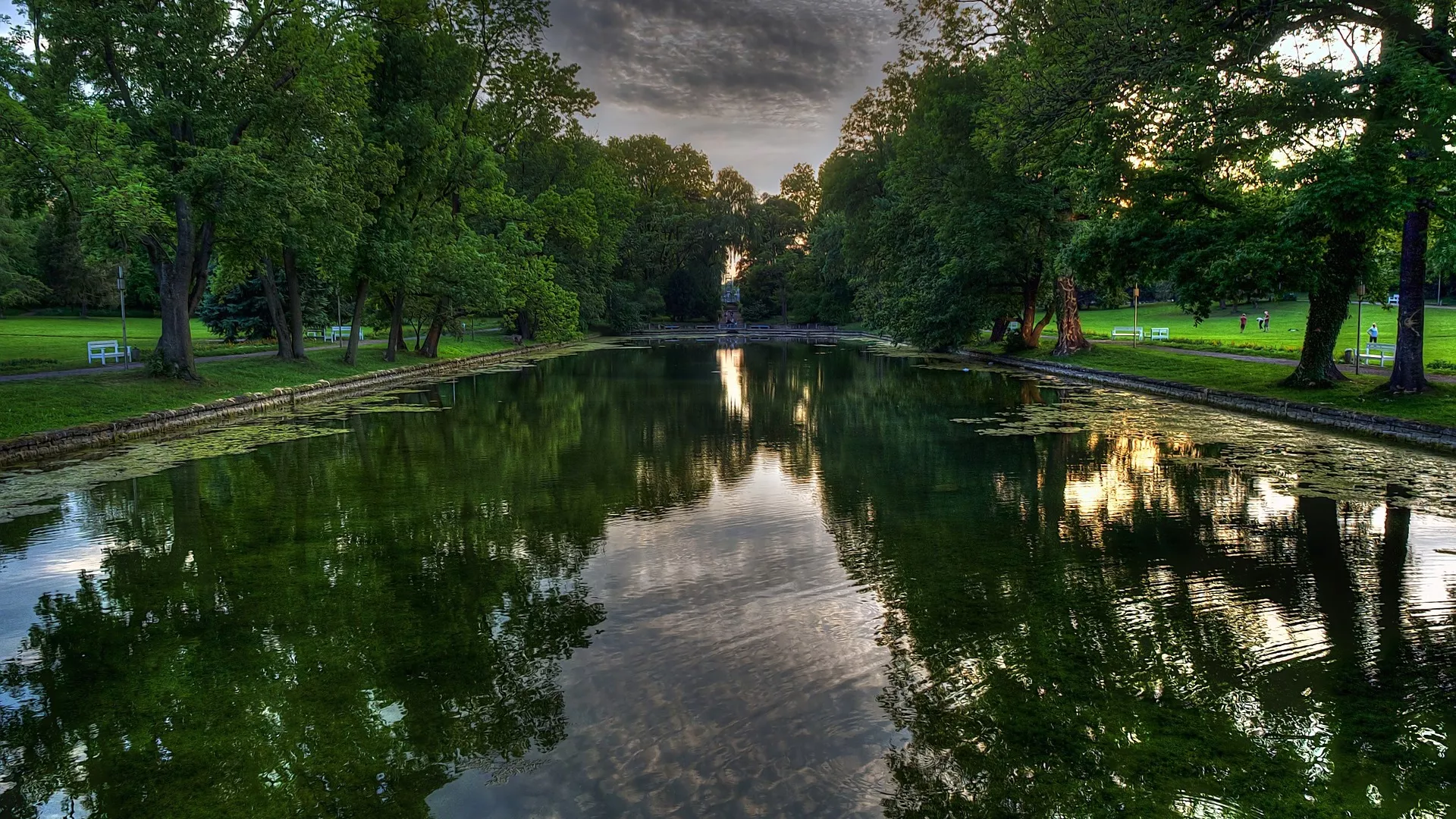 Razum i osećajnost – Kompozicije Hofmajstera i Mocarta