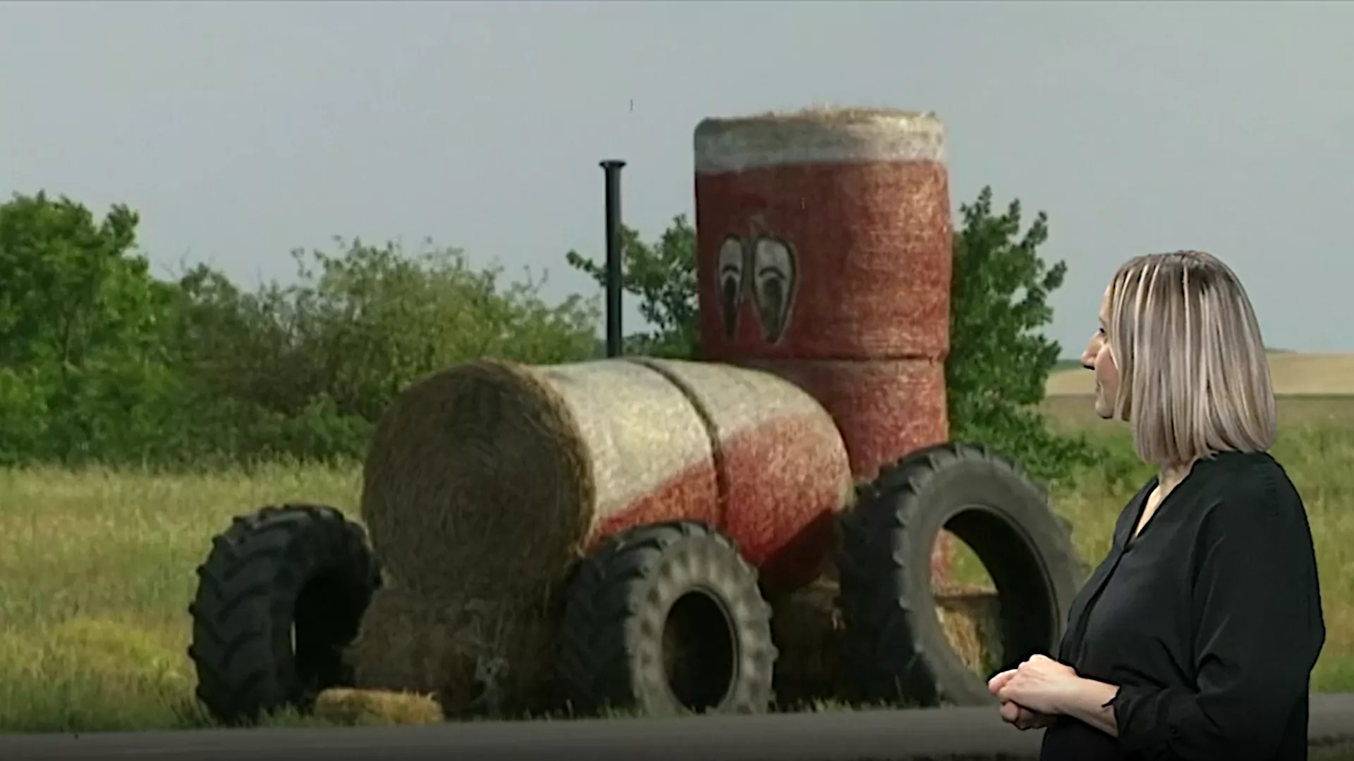 Pristupačan program: Građanin (SZJ)