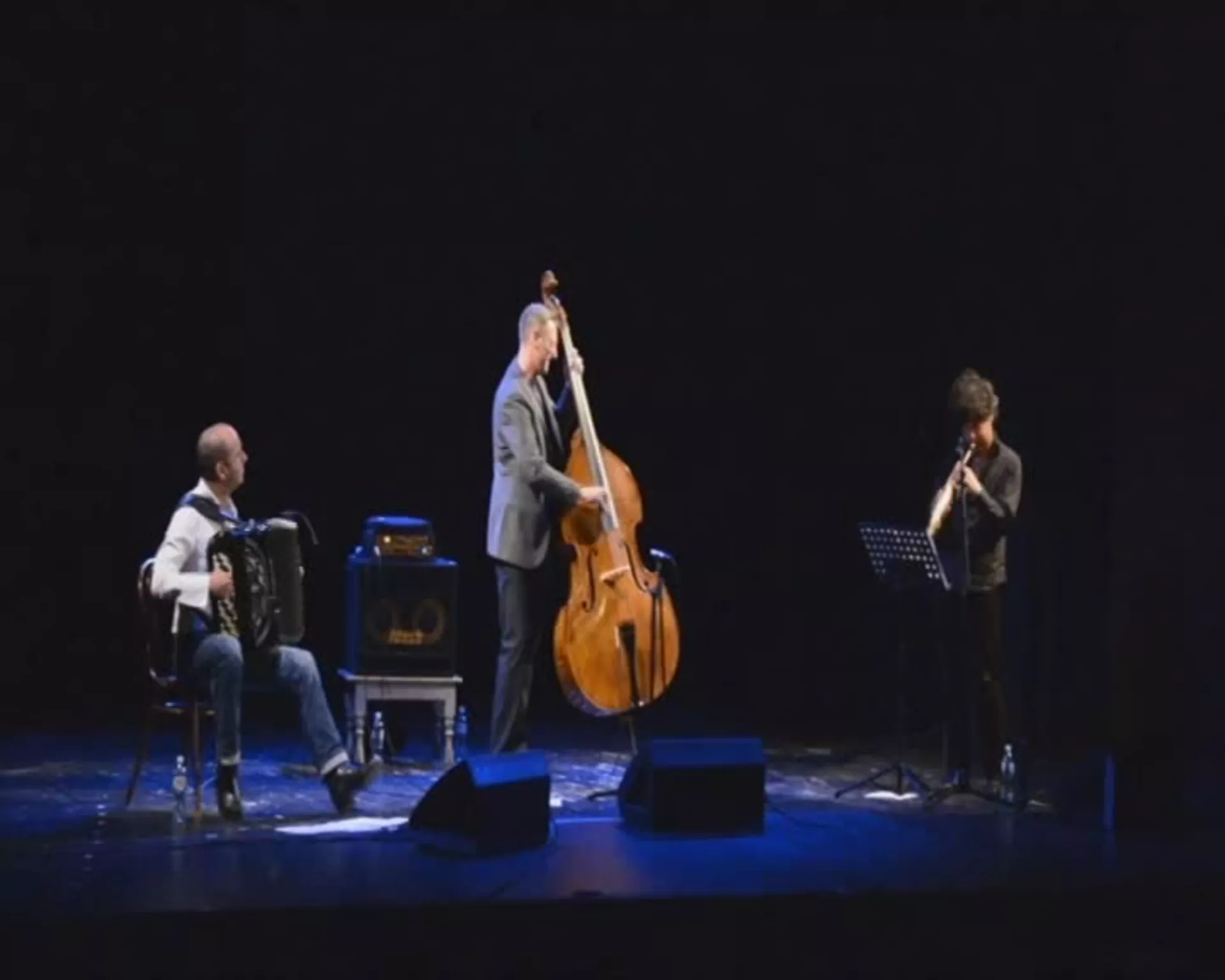 Nenad Vasilić trio – C‘est la vie