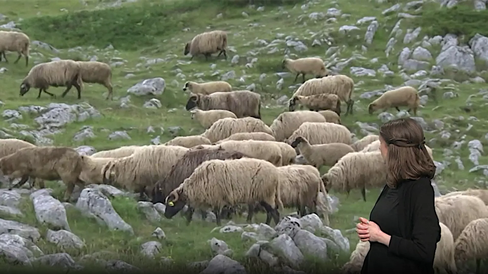Pristupačan program: Kvadratura kruga – Čudesna planina u srcu Crne Gore (SZJ)