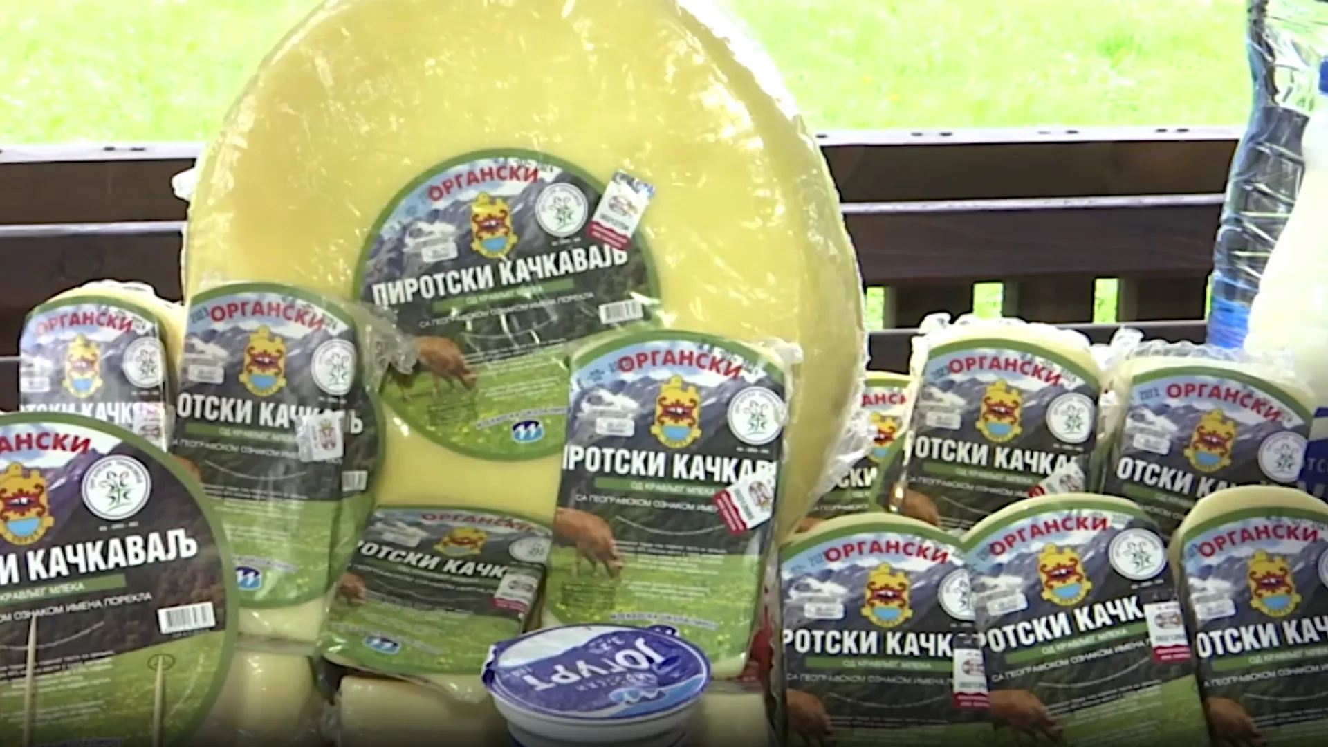Jedinstveni Pirotski kačkavalj