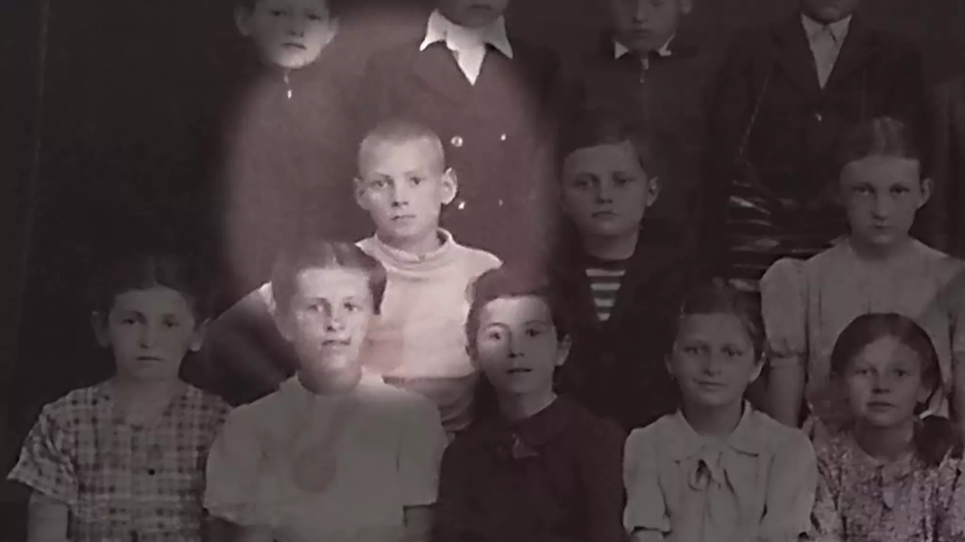 Tolstojevi u Banatu