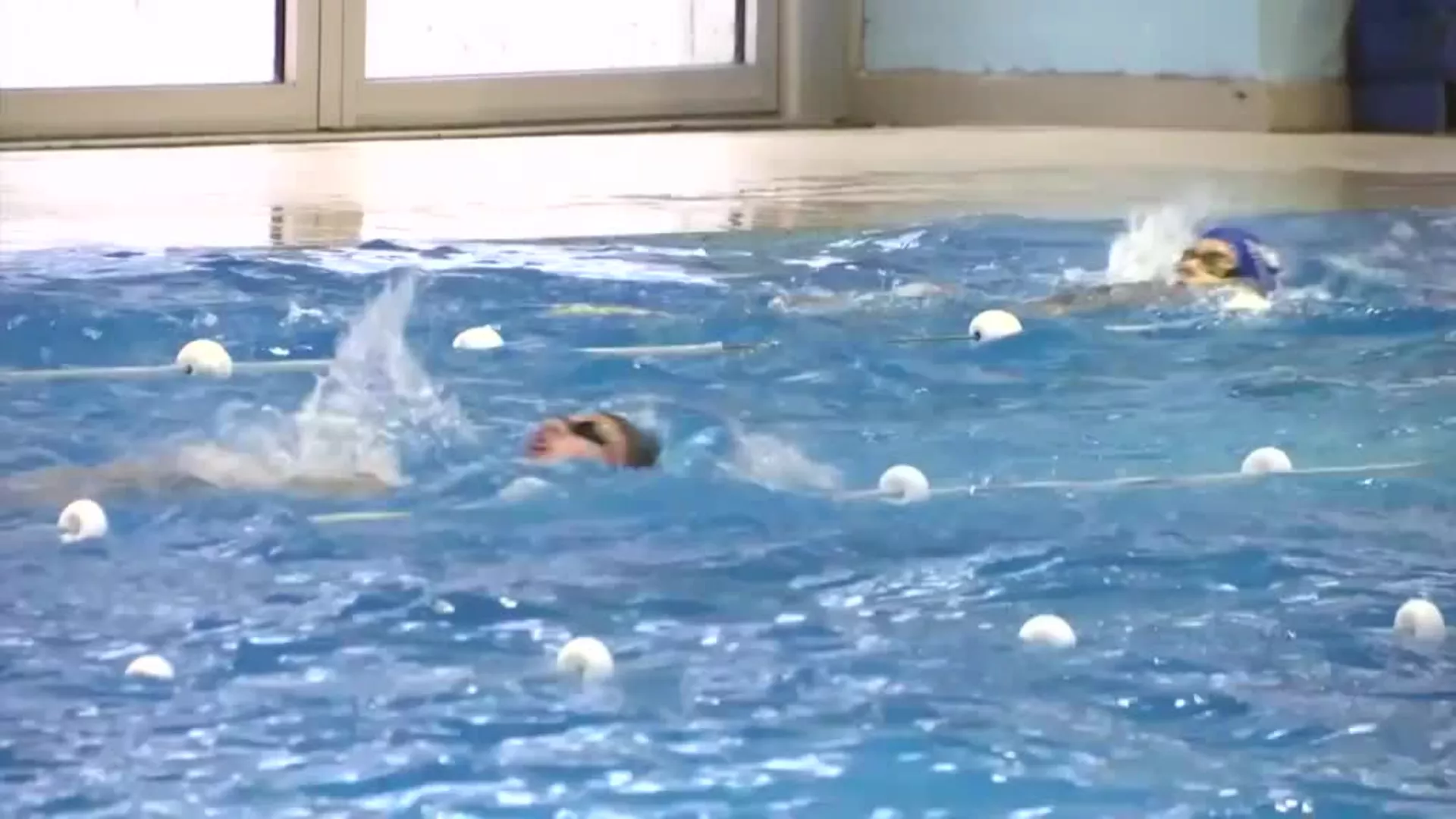 Niški plivački klub