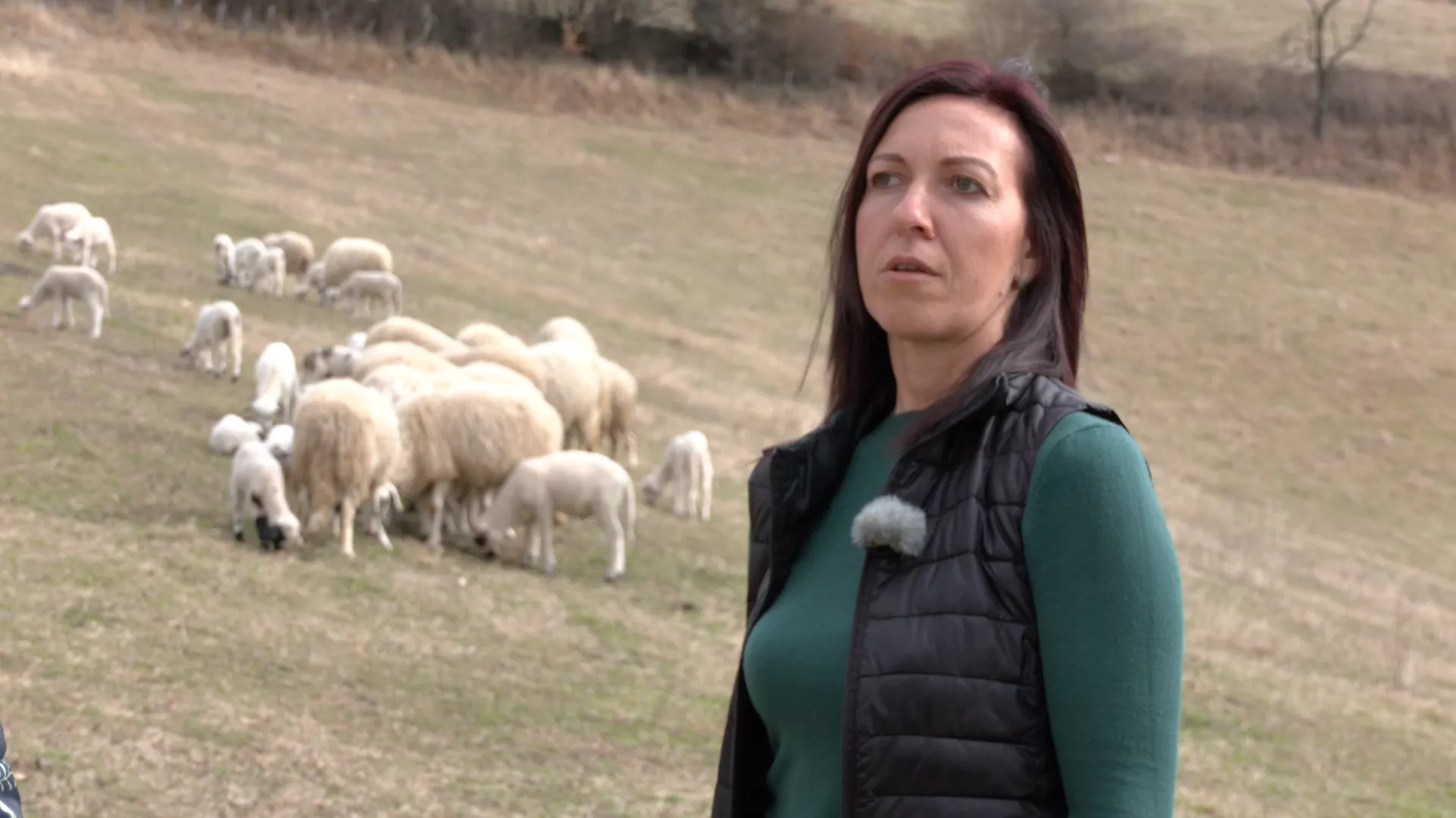 Znanje imanje: Sigurna proizvodnja