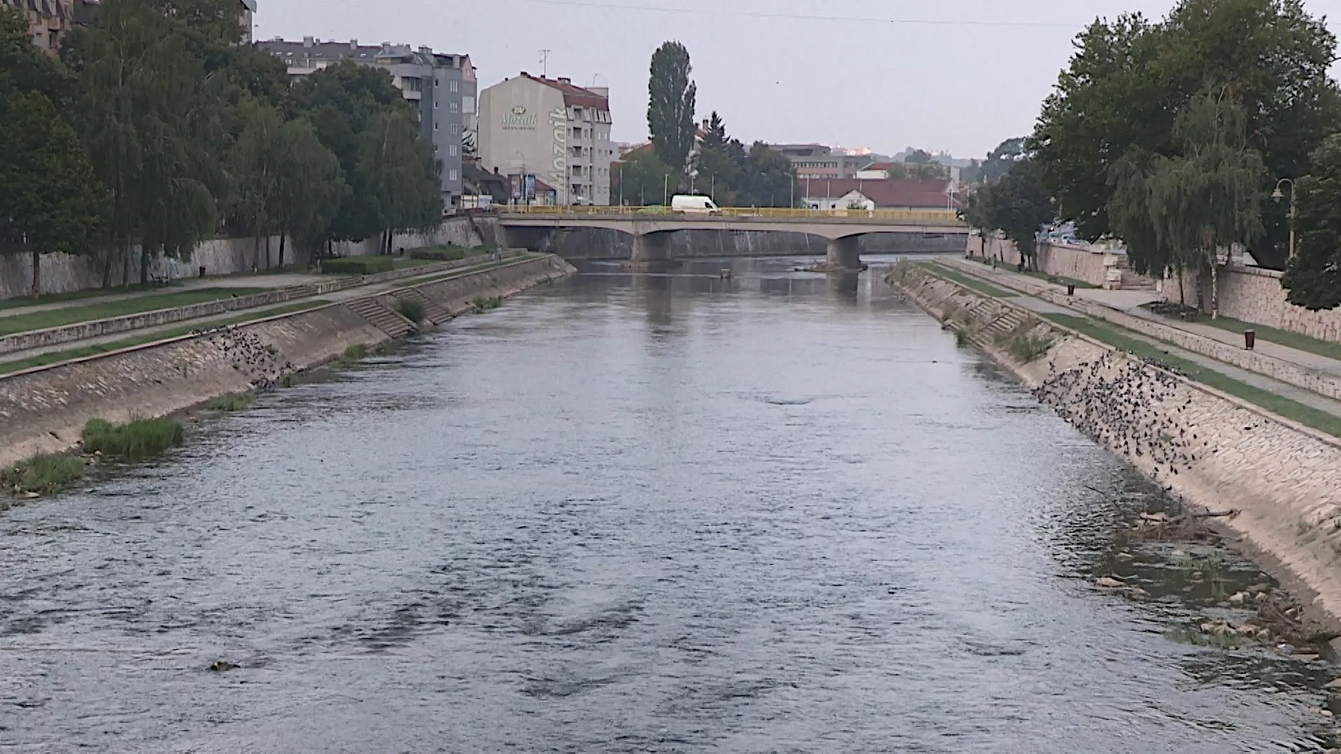 Lov i ribolov: Šumsko gazdinstvo Niš
