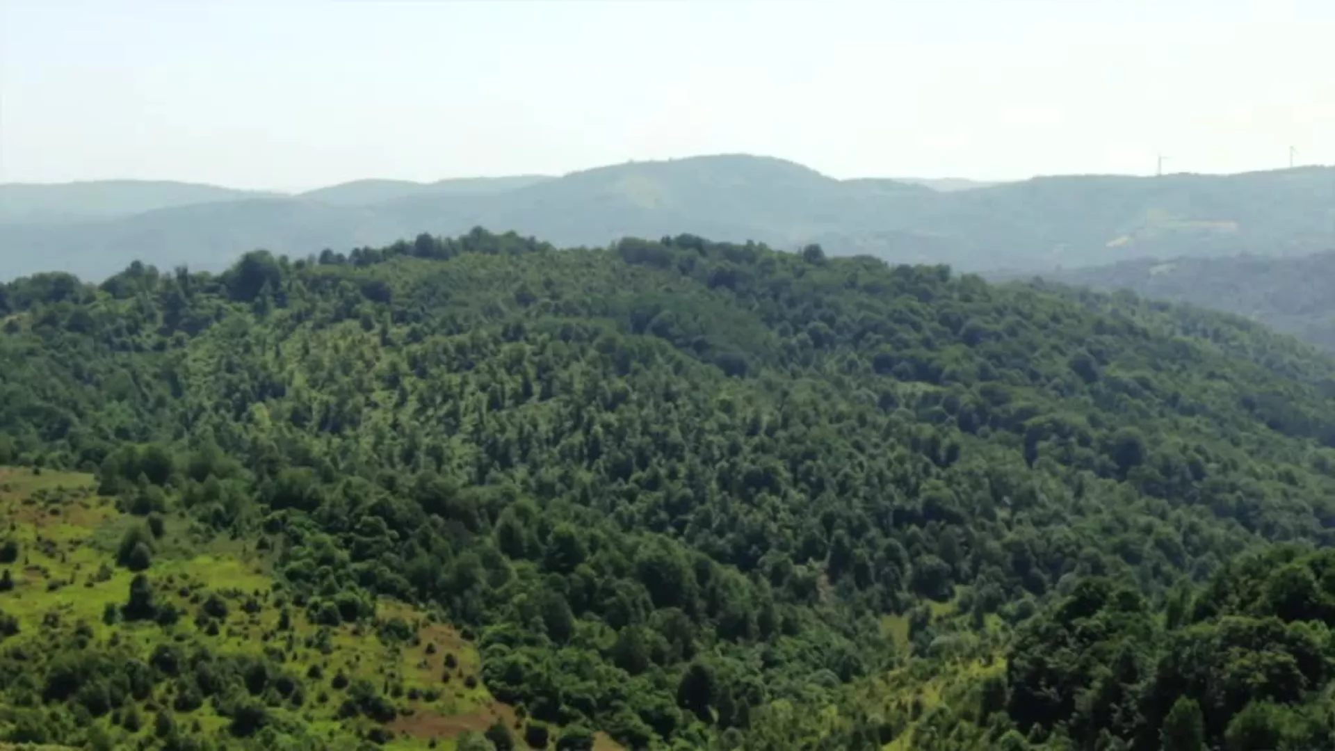 Lov i ribolov: Šumsko gazdinstvo “Šuma Leskovac“