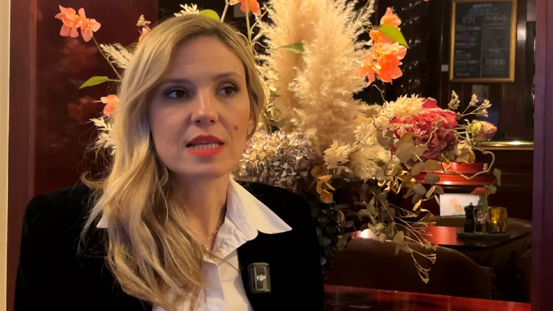 Milica Soldatović Milić, rediteljka