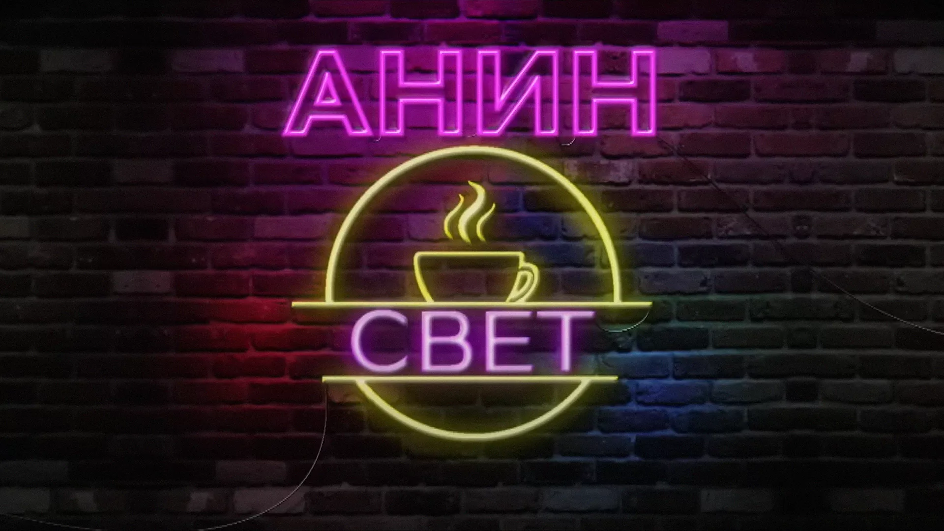 Anin svet