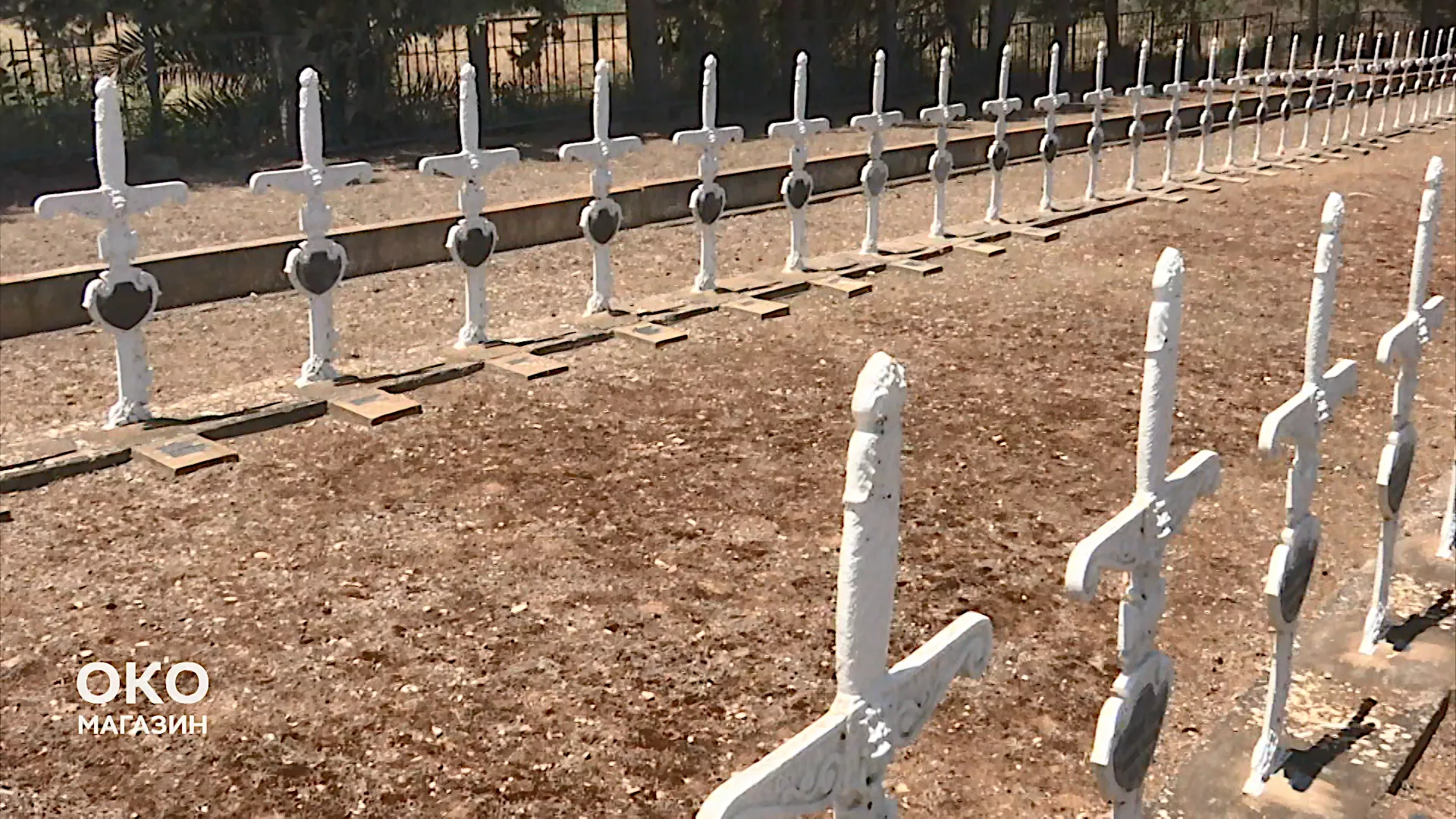 Oko magazin: Tunis, francuski mačevi na srpskim grobovima